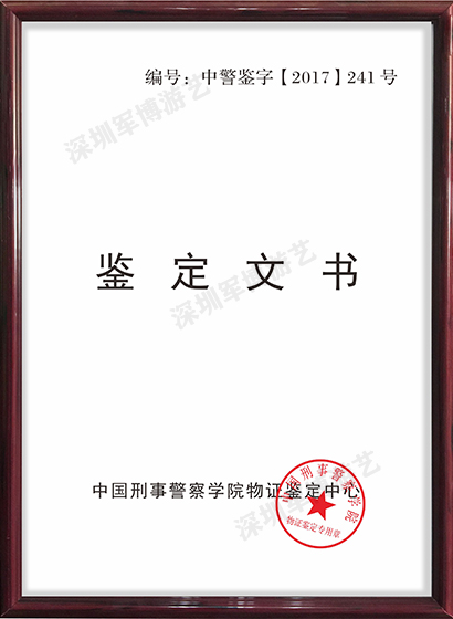 鉴定报告